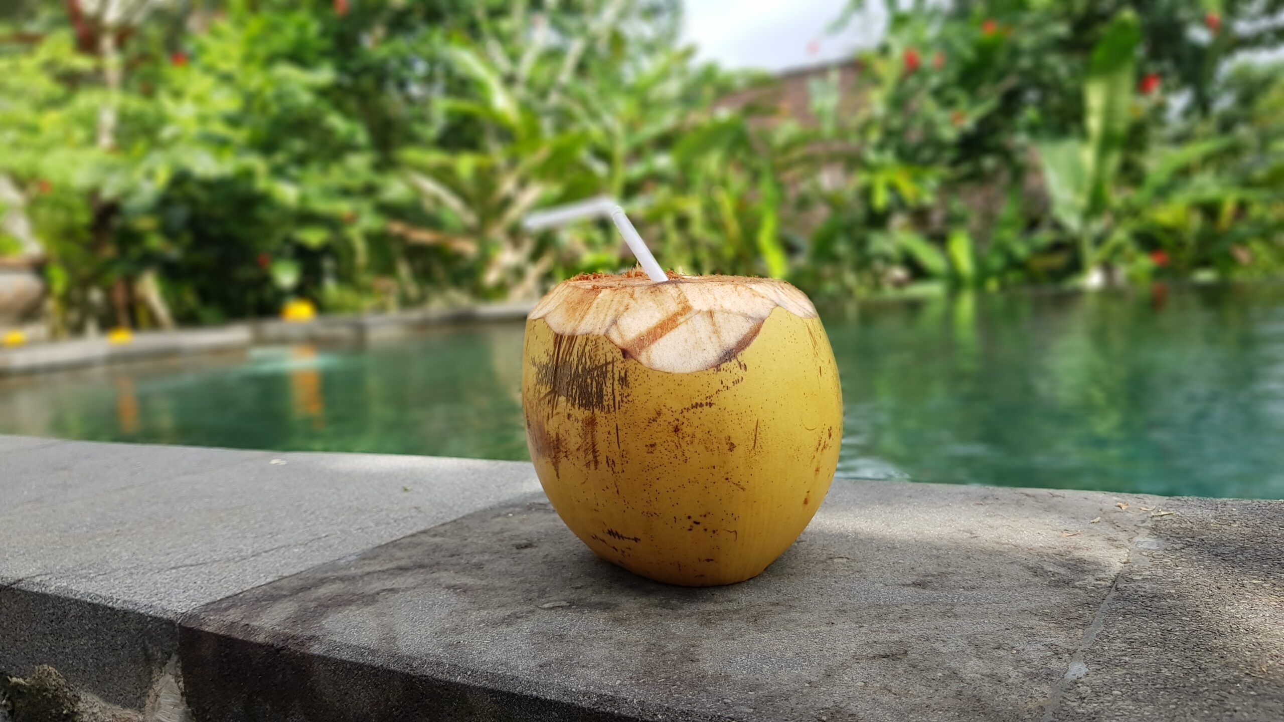 Coconut drink