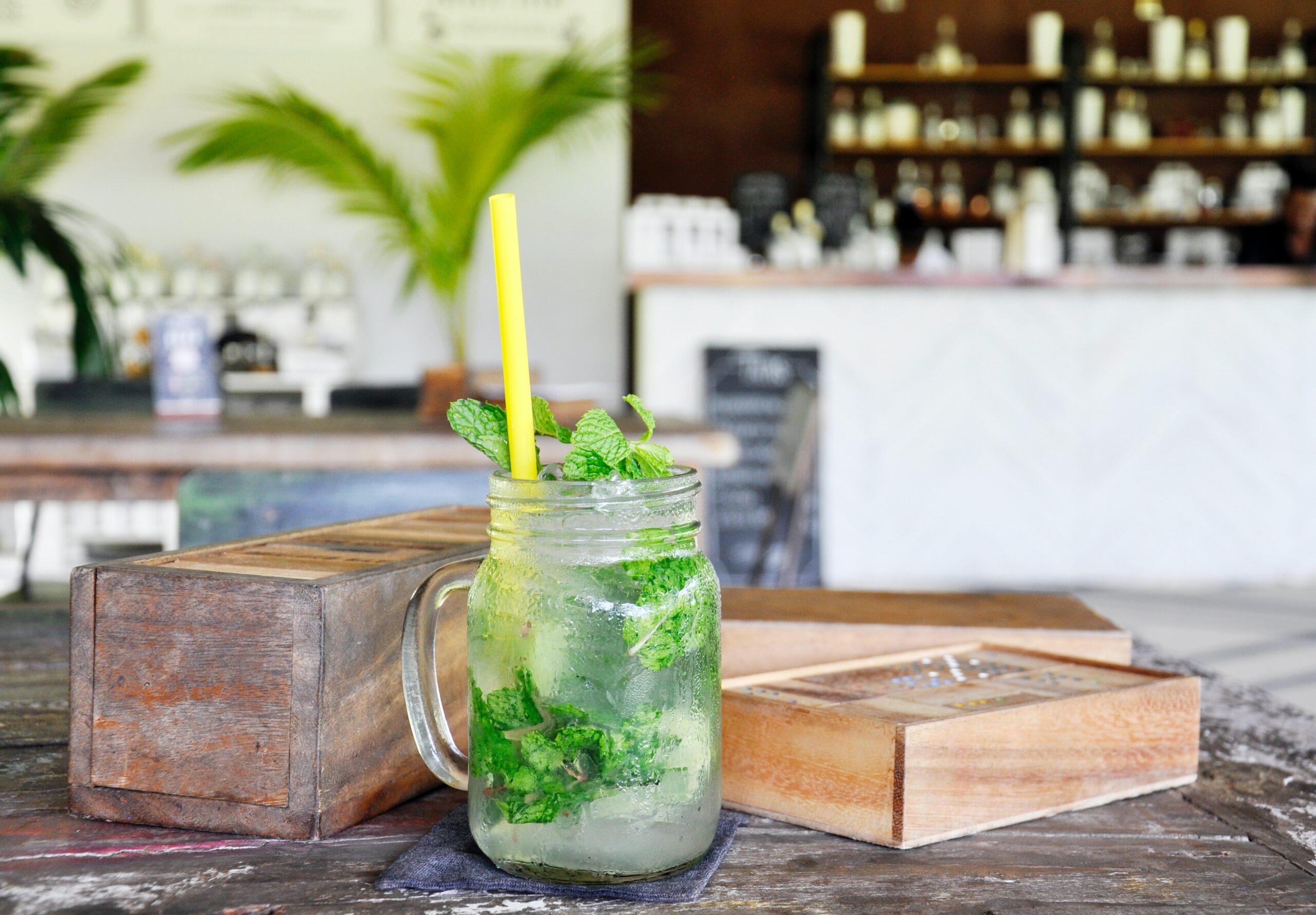 Mint Julep